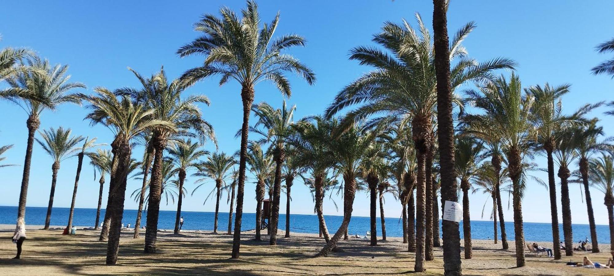San Antonio - Beach, Pool And Terrace Torremolinos Eksteriør billede